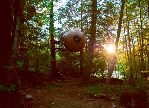 Free Spirit Spheres, Canada. Чтобы попасть внутрь, гостям нужно будет пройтись по прекрасной винтовой лестнице установленной вокруг дерева