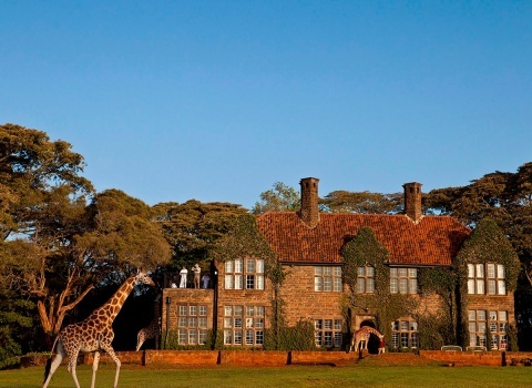 Кенийский отель Giraffe Manor был построен в 1930 году