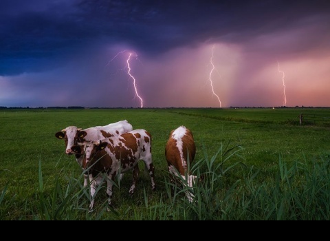 Нидерланды.Фотограф Альберт Дрос (Albert Dros)