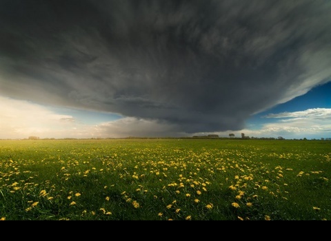 Нидерланды.Фотограф Альберт Дрос (Albert Dros)