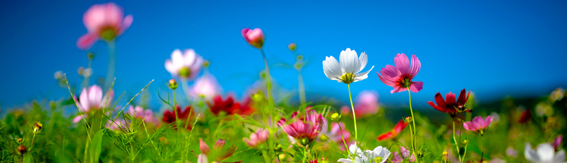 Лето — время путешествий и открытий.