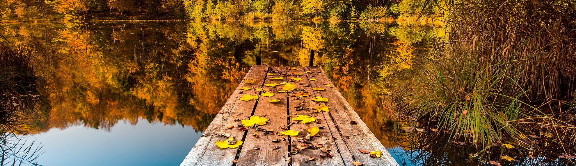 Осень — время мечтать и пить вкусный чай.