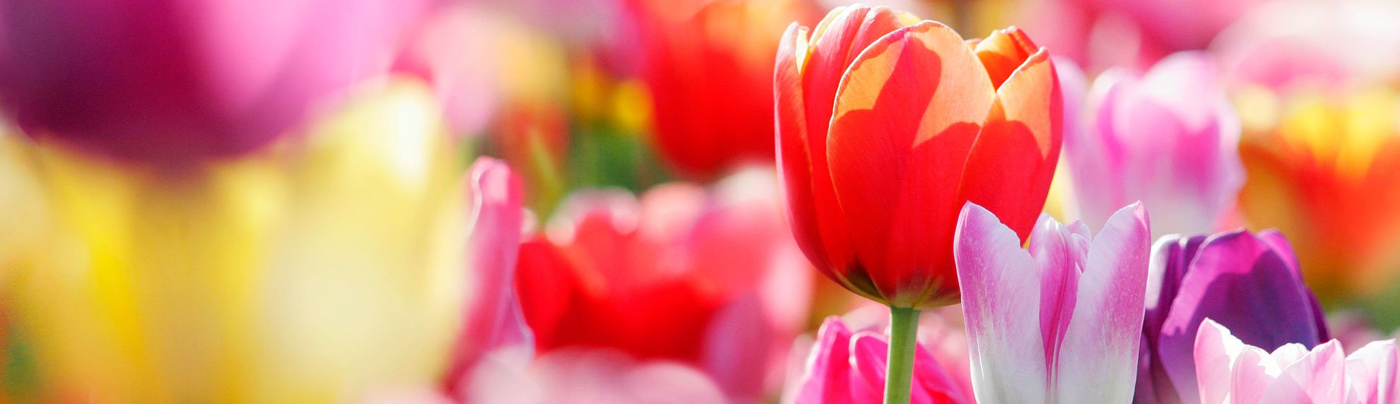 Весна — время путешествовать по Европе.